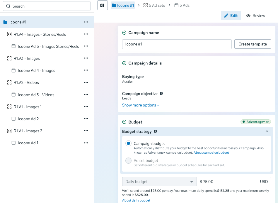 Ads Manager · Campaign overview